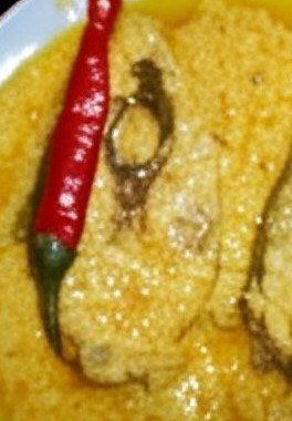 Hilsa Bhapa